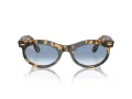 Ray-Ban Wayfarer Oval Gafas de Sol RB 2242 13323F_53