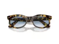 Ray-Ban Wayfarer Oval Gafas de Sol RB 2242 13323F_53