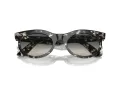 Ray-Ban Wayfarer Oval Gafas de Sol RB 2242 133371_50