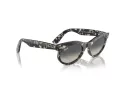 Ray-Ban Wayfarer Oval Gafas de Sol RB 2242 133371_53