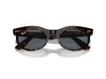 Ray-Ban Wayfarer Oval Gafas de Sol RB 2242 902/R5