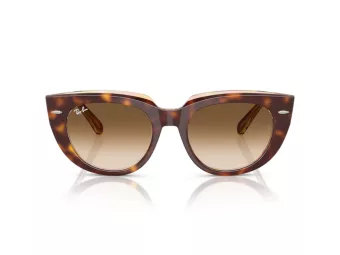 Ray-Ban Doreen Gafas de Sol RB 2286 141451_49