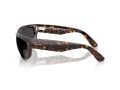 Ray-Ban Mega Balorama Gafas de Sol RB 2289 902/48