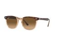 Ray-Ban Hawkeye Gafas de Sol RB 2298 1292M2