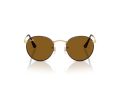 Ray-Ban Round Metal Gafas de Sol RB 3447 927533