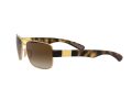Ray-Ban Gafas de Sol RB 3522 001/13_64