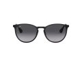 Ray-Ban Erika Metal Gafas de Sol RB 3539 002/8G