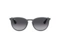 Ray-Ban Erika Metal Gafas de Sol RB 3539 192/8G