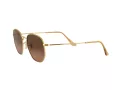 Ray-Ban Hexagonal Gafas de Sol 3548N 912443