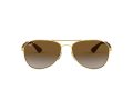 Ray-Ban Gafas de Sol RB 3549 001/T5_61