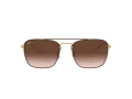 Ray-Ban Gafas de Sol RB 3588 9055/13