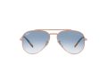 Ray-Ban New Aviator Gafas de Sol RB 3625 9202/3F_54