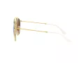 Ray-Ban Gafas de Sol RB 3647N 001/4O