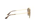 Ray-Ban Gafas de Sol RB 3647N 001/57