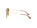Ray-Ban Gafas de Sol RB 3647N 001/7O