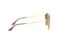Ray-Ban Gafas de Sol RB 3647N 001/7O