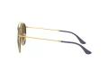Ray-Ban Gafas de Sol RB 3647N 001/9U