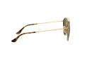 Ray-Ban Gafas de Sol 3647N 001