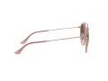 Ray-Ban Gafas de Sol RB 3647N 9069/A5
