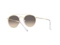 Ray-Ban Gafas de Sol 3647N 923632