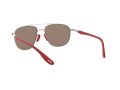 Ray-Ban Gafas de Sol RB 3659M F031/H0