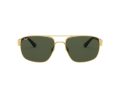 Ray-Ban Gafas de Sol RB 3663 001/31