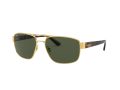 Ray-Ban Gafas de Sol RB 3663 001/31