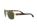 Ray-Ban Gafas de Sol RB 3663 001/31