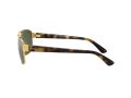 Ray-Ban Gafas de Sol RB 3663 001/31