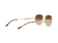 Ray-Ban Gafas de Sol RB 3682 001/13