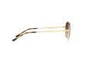 Ray-Ban Gafas de Sol RB 3682 001/13