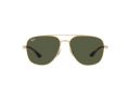 Ray-Ban Gafas de Sol RB 3683 001/31