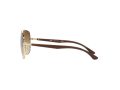 Ray-Ban Gafas de Sol RB 3683 001/51_56