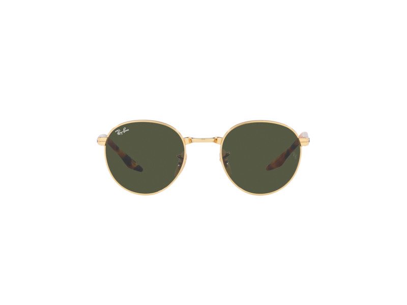 Ray-Ban Gafas de Sol RB 3691 001/31