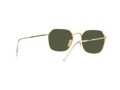 Ray-Ban Jim Gafas de Sol RB 3694 001/31_55