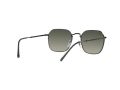 Ray-Ban Jim Gafas de Sol RB 3694 002/71_55