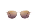 Ray-Ban Jim Gafas de Sol RB 3694 9202/G9_53