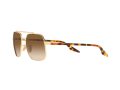 Ray-Ban Gafas de Sol RB 3699 001/51