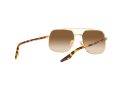 Ray-Ban Gafas de Sol RB 3699 001/51