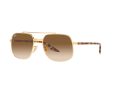 Ray-Ban Gafas de Sol RB 3699 001/51