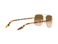 Ray-Ban Gafas de Sol RB 3699 001/51