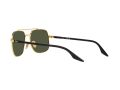 Ray-Ban Gafas de Sol RB 3699 9000/31_59