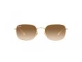 Ray-Ban Gafas de Sol RB 3706 001/51_54