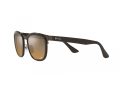 Ray-Ban Clyde Gafas de Sol RB 3709 9259A2