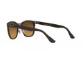 Ray-Ban Clyde Gafas de Sol RB 3709 9259A2