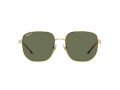 Ray-Ban Gafas de Sol RB 3713D 001/9A