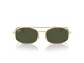 Ray-Ban Gafas de Sol RB 3719 001/31_51