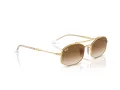 Ray-Ban Gafas de Sol RB 3719 001/51_54