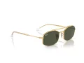 Ray-Ban Gafas de Sol RB 0RB3719 001/31