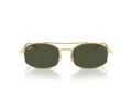 Ray-Ban Gafas de Sol RB 0RB3719 001/31